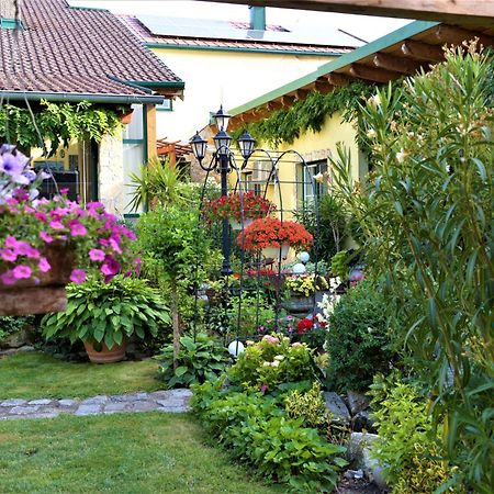 Ferienwohnung Koppi Pamhagen 外观 照片