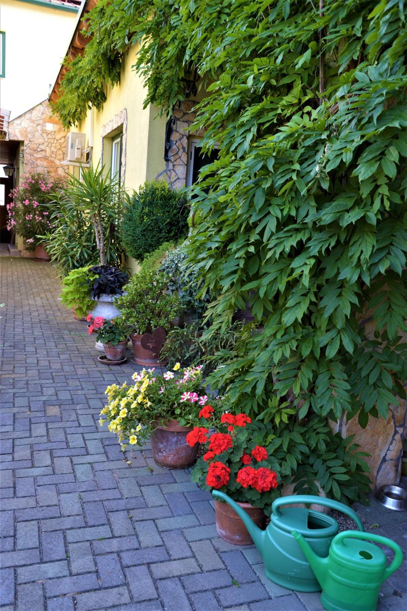 Ferienwohnung Koppi Pamhagen 外观 照片