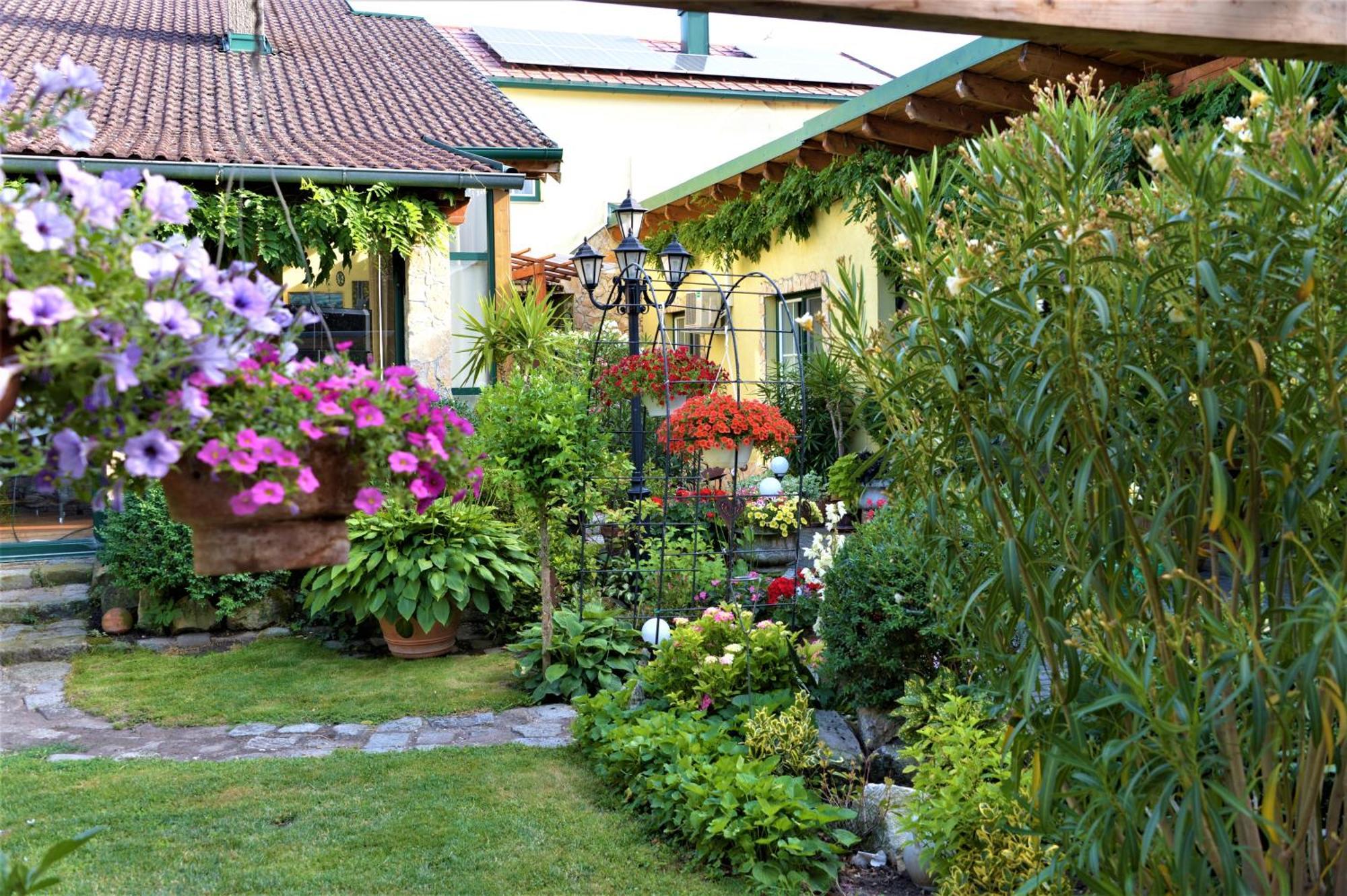 Ferienwohnung Koppi Pamhagen 外观 照片
