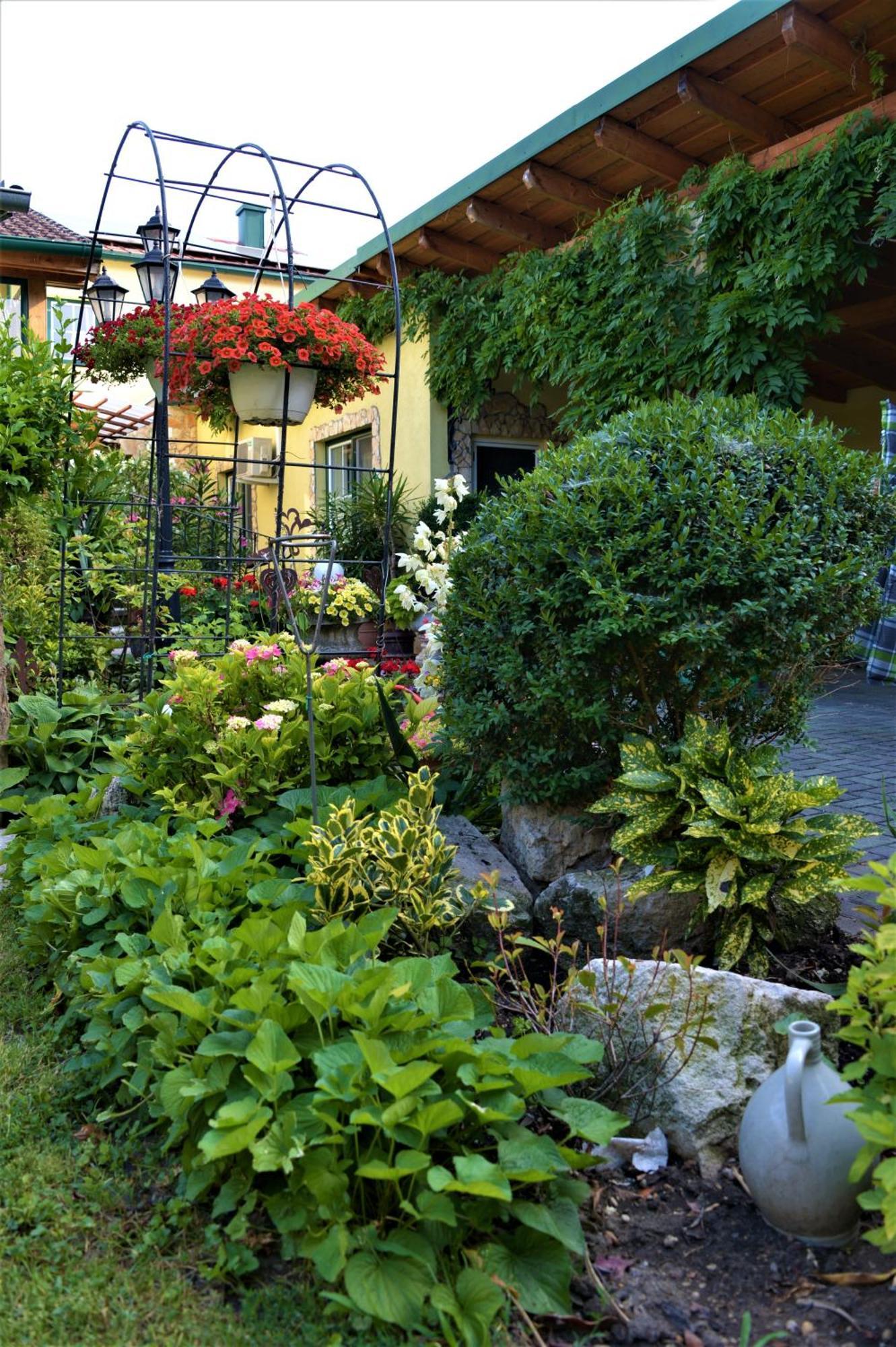 Ferienwohnung Koppi Pamhagen 外观 照片
