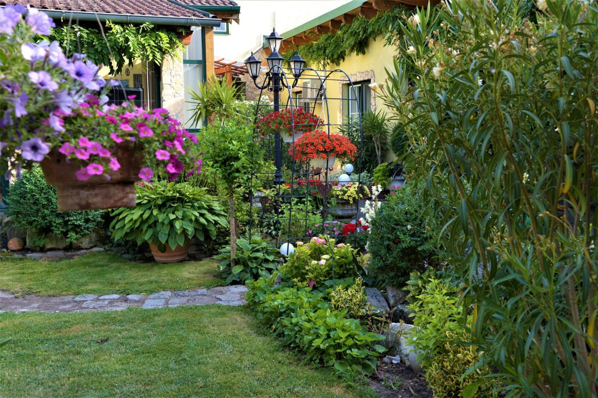 Ferienwohnung Koppi Pamhagen 外观 照片