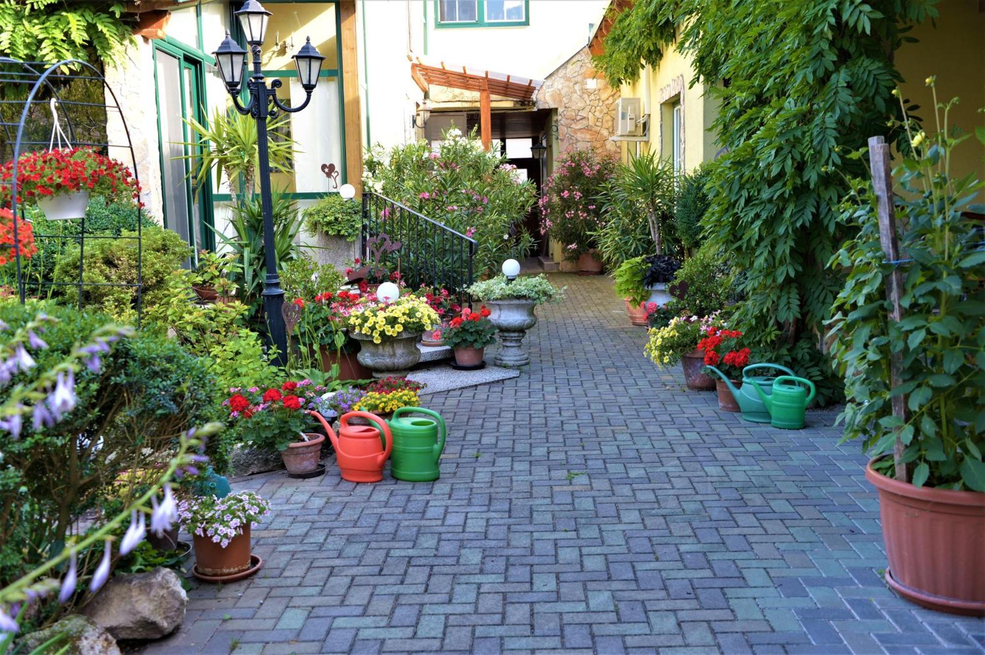 Ferienwohnung Koppi Pamhagen 外观 照片