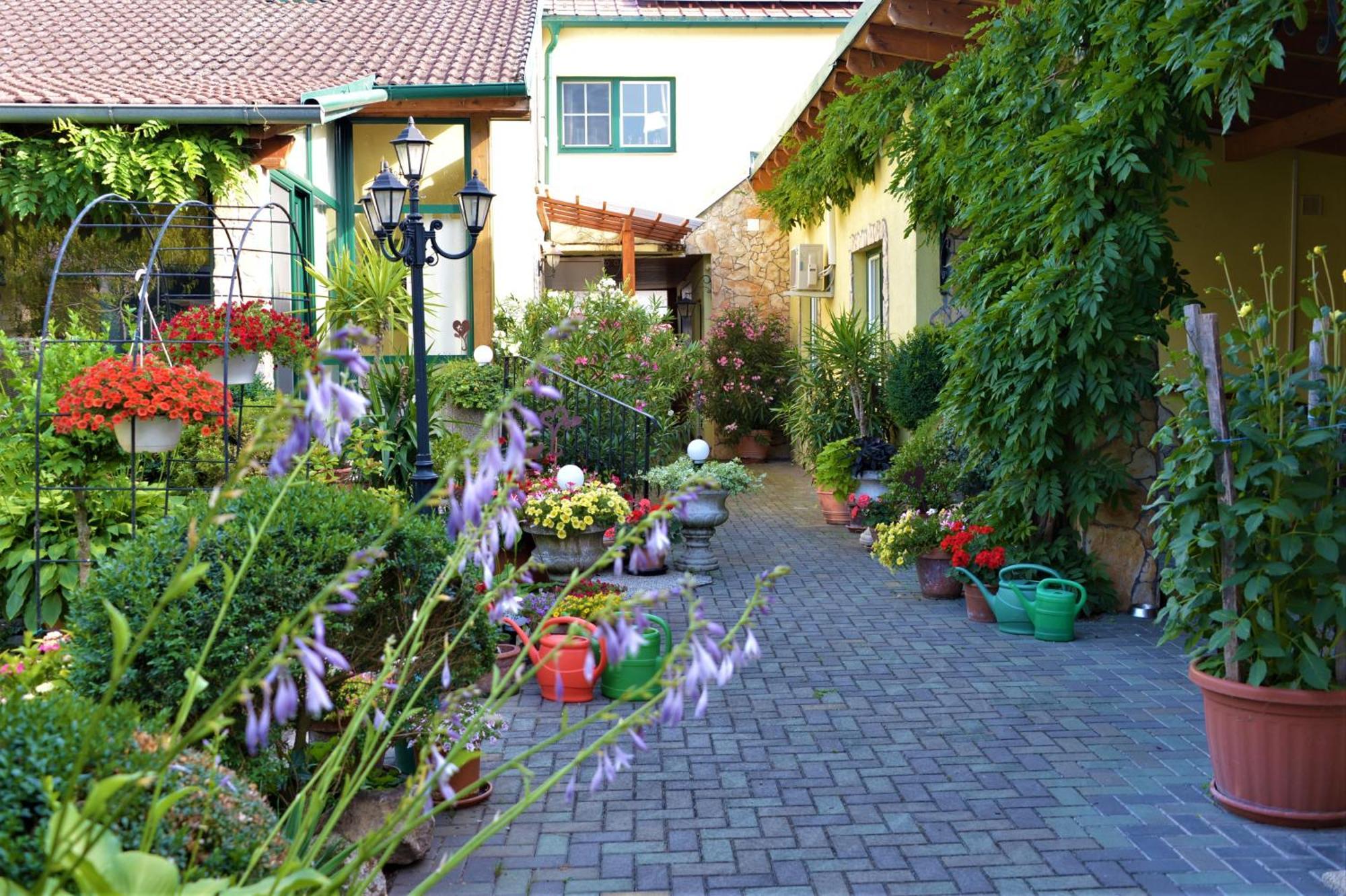 Ferienwohnung Koppi Pamhagen 外观 照片