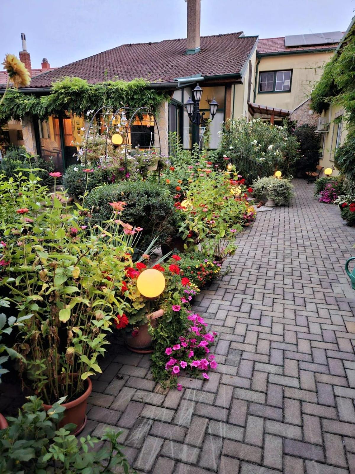 Ferienwohnung Koppi Pamhagen 外观 照片