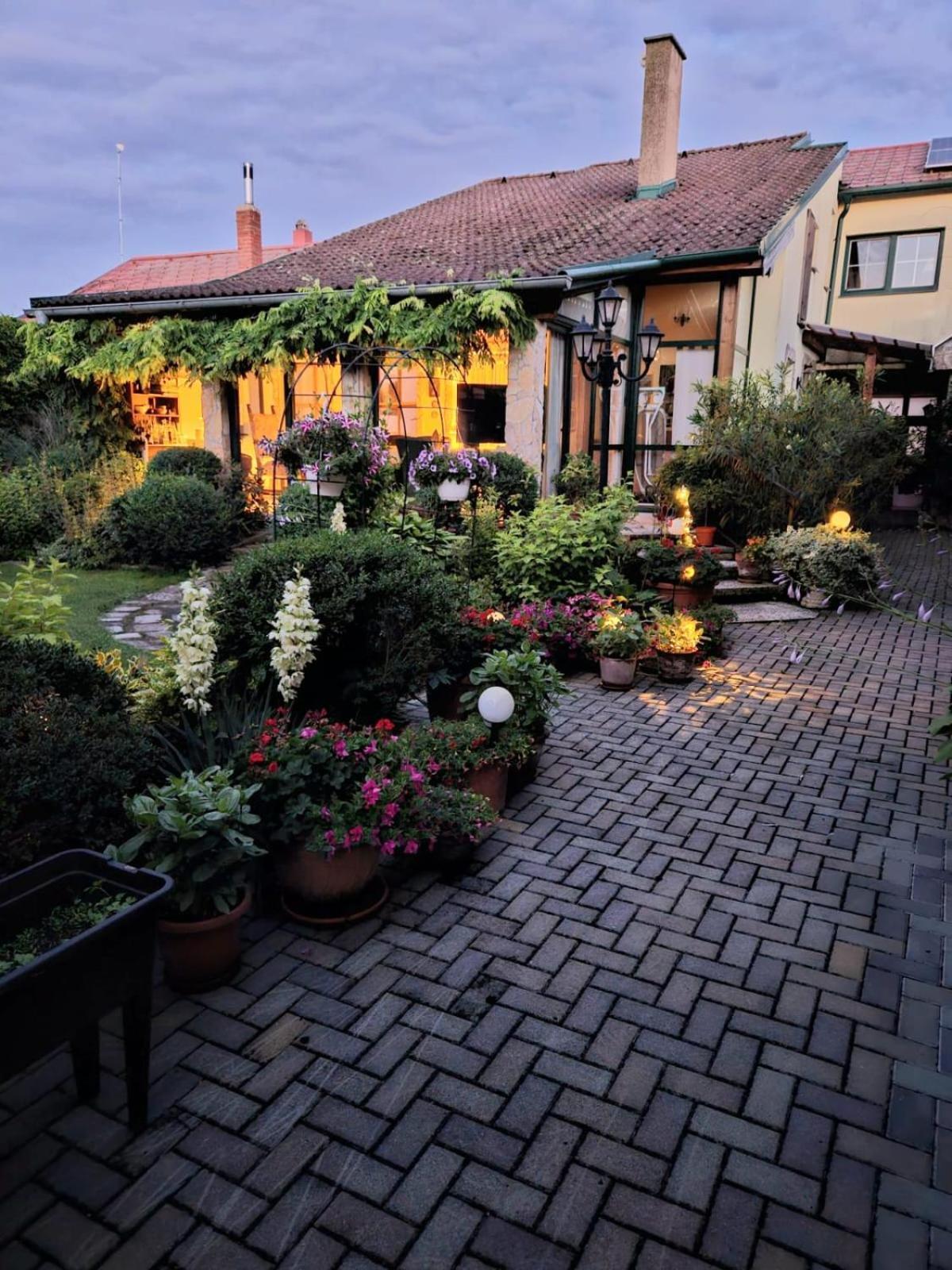 Ferienwohnung Koppi Pamhagen 外观 照片