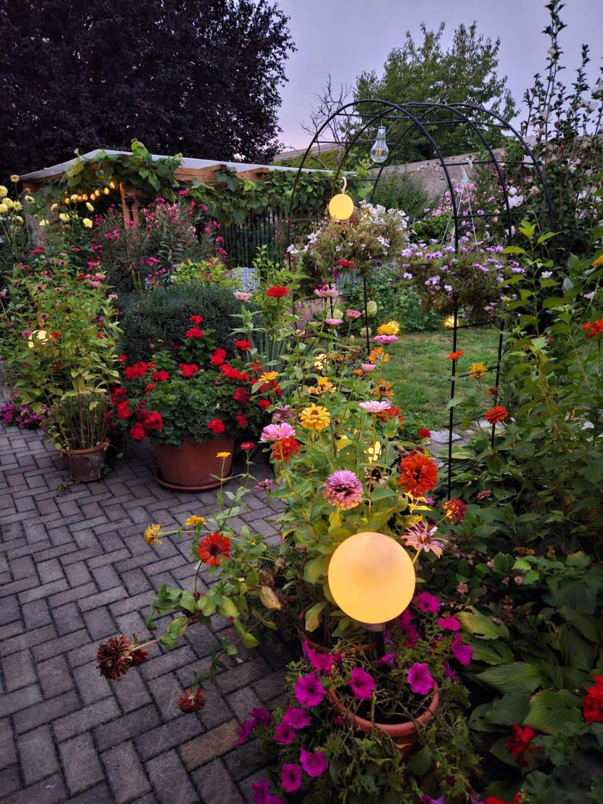 Ferienwohnung Koppi Pamhagen 外观 照片