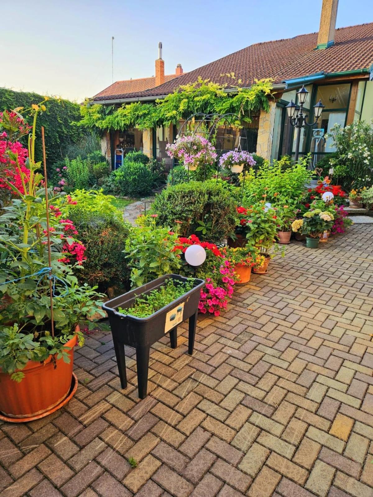 Ferienwohnung Koppi Pamhagen 外观 照片