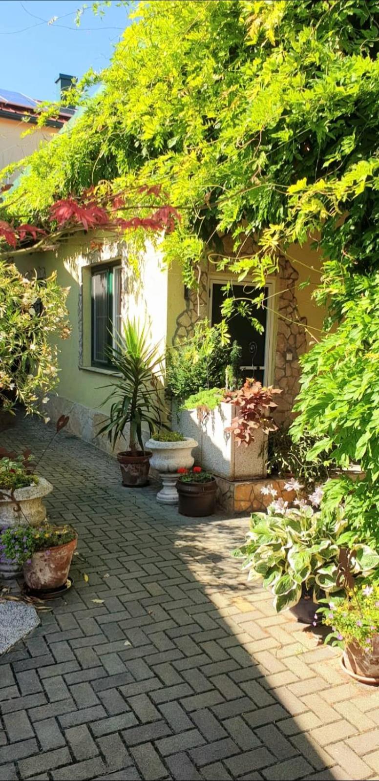 Ferienwohnung Koppi Pamhagen 外观 照片