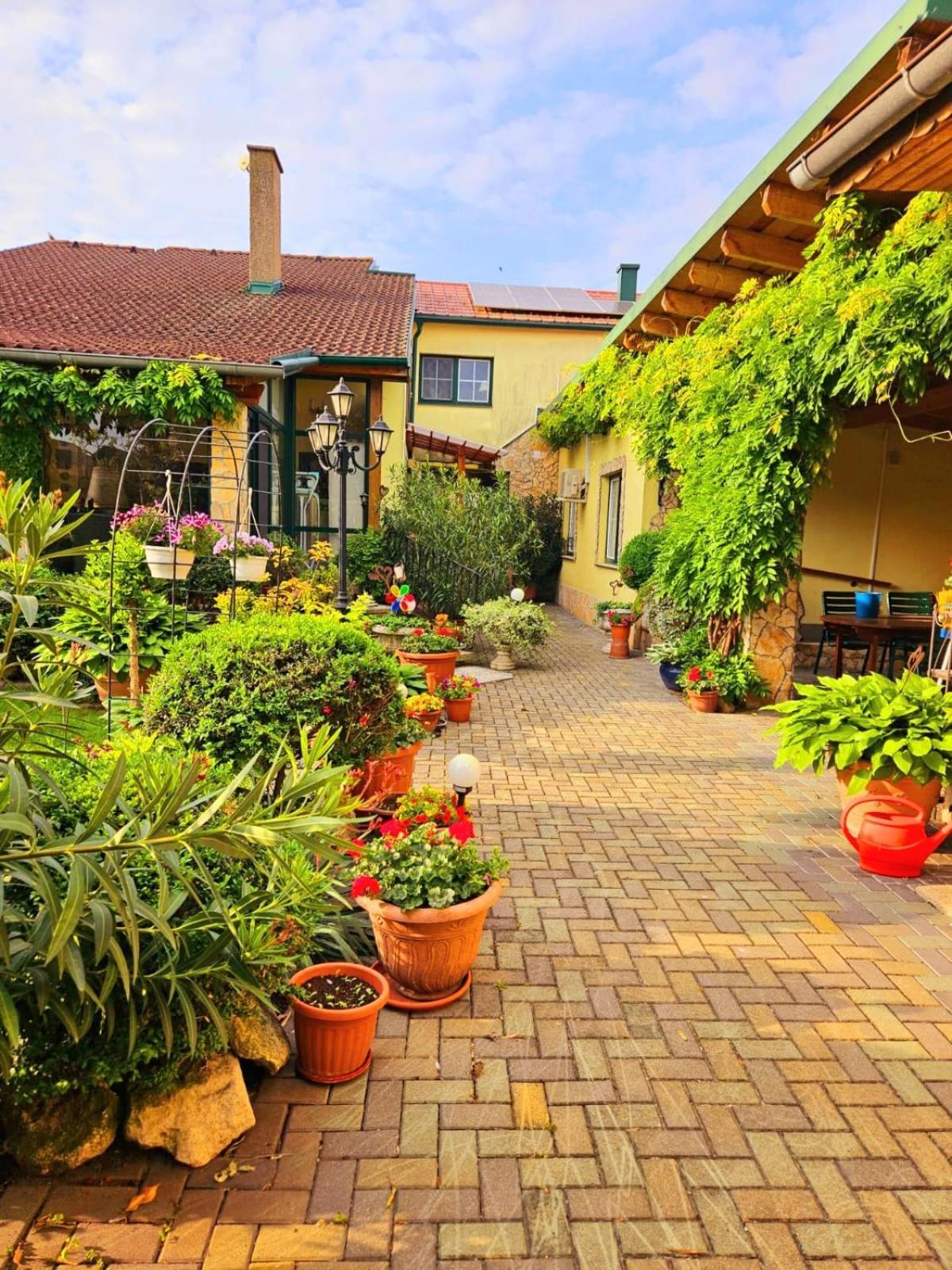 Ferienwohnung Koppi Pamhagen 外观 照片