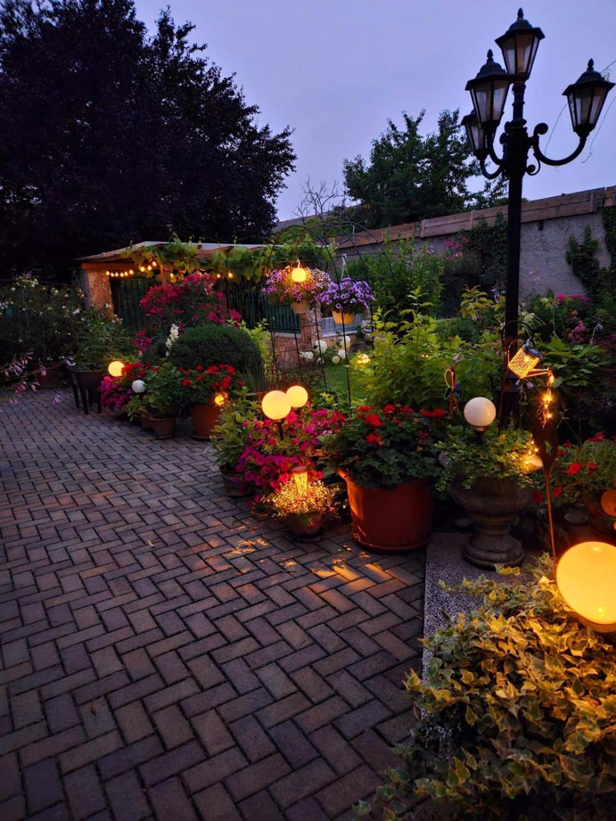 Ferienwohnung Koppi Pamhagen 外观 照片