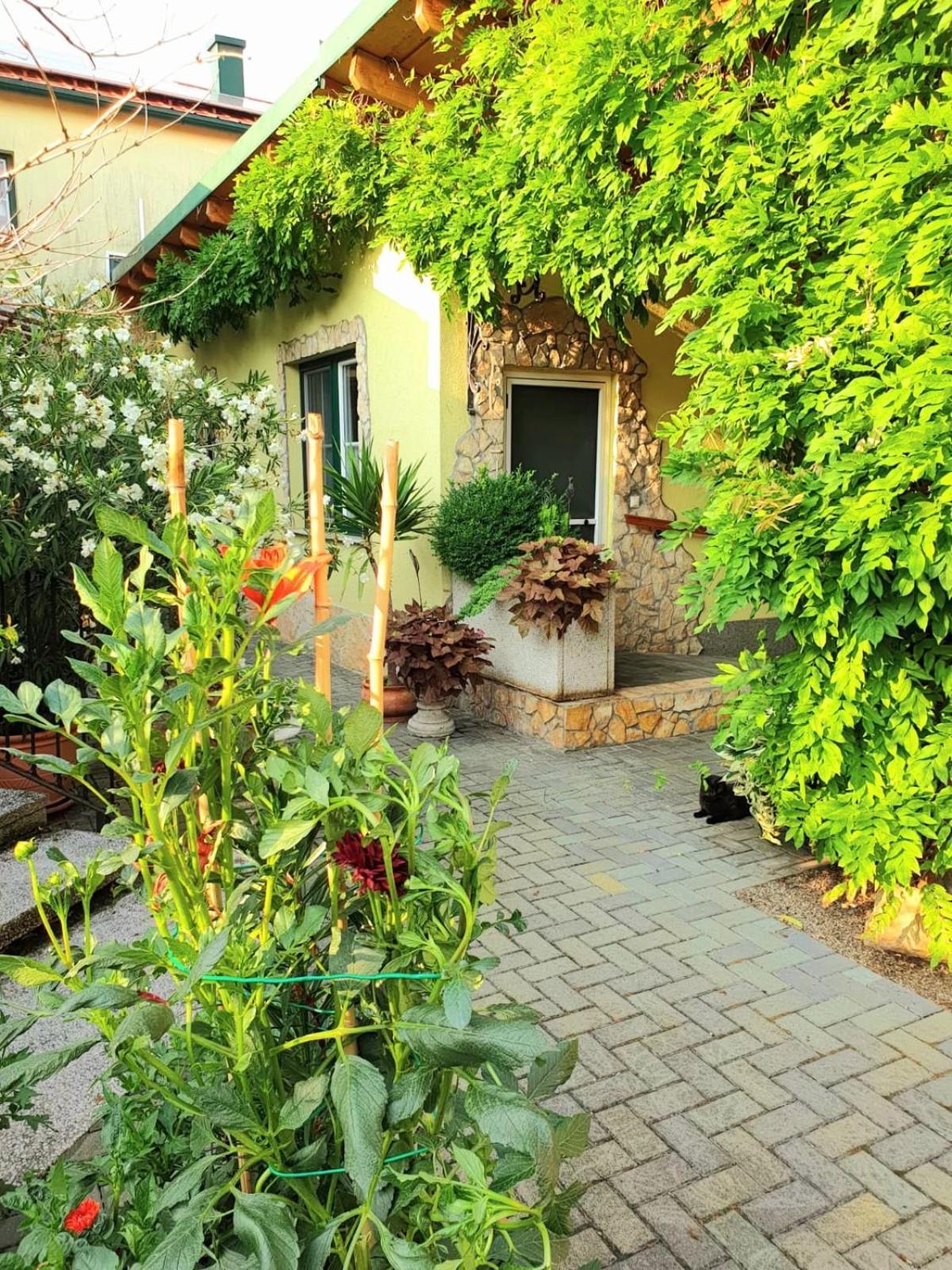 Ferienwohnung Koppi Pamhagen 外观 照片