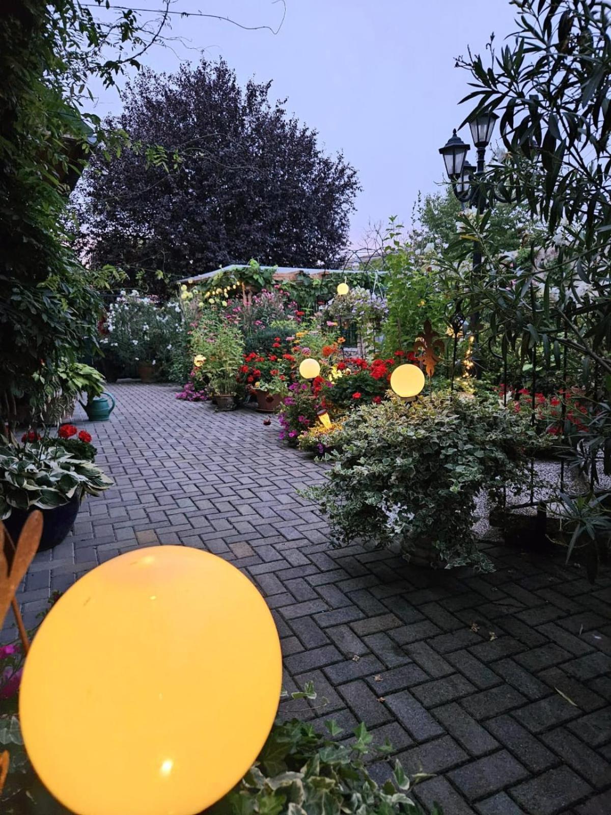 Ferienwohnung Koppi Pamhagen 外观 照片
