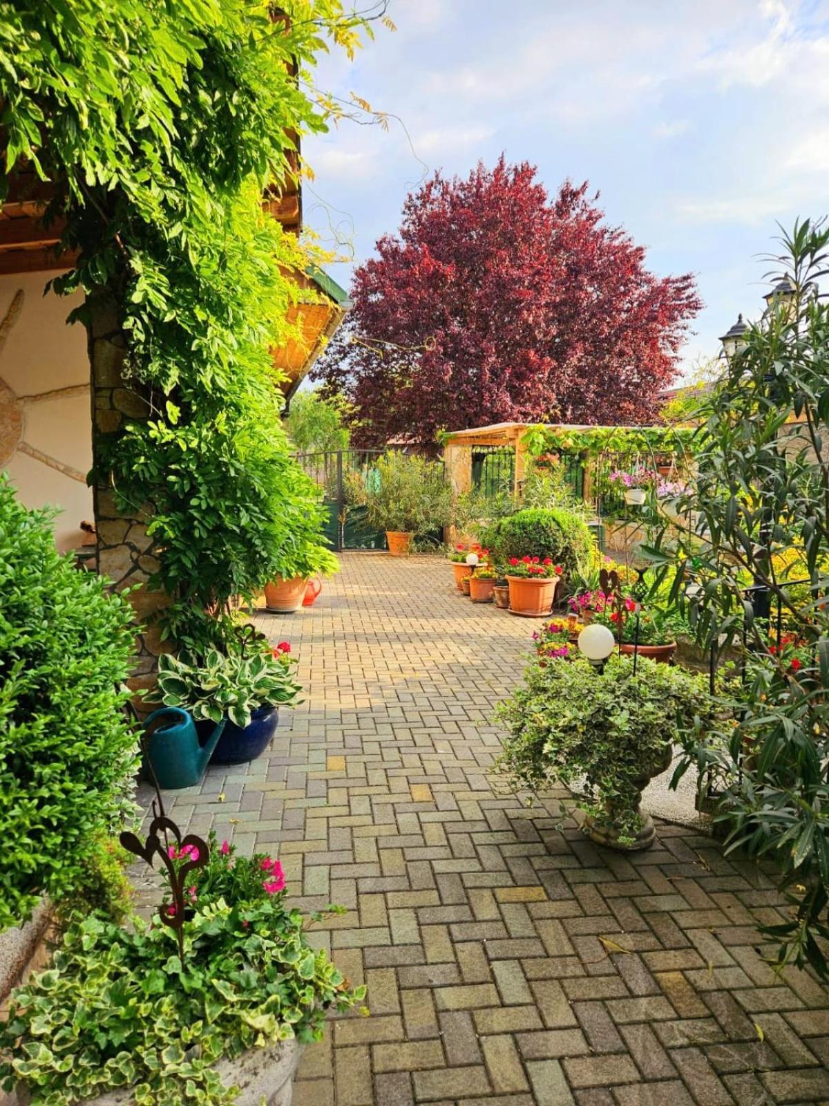 Ferienwohnung Koppi Pamhagen 外观 照片