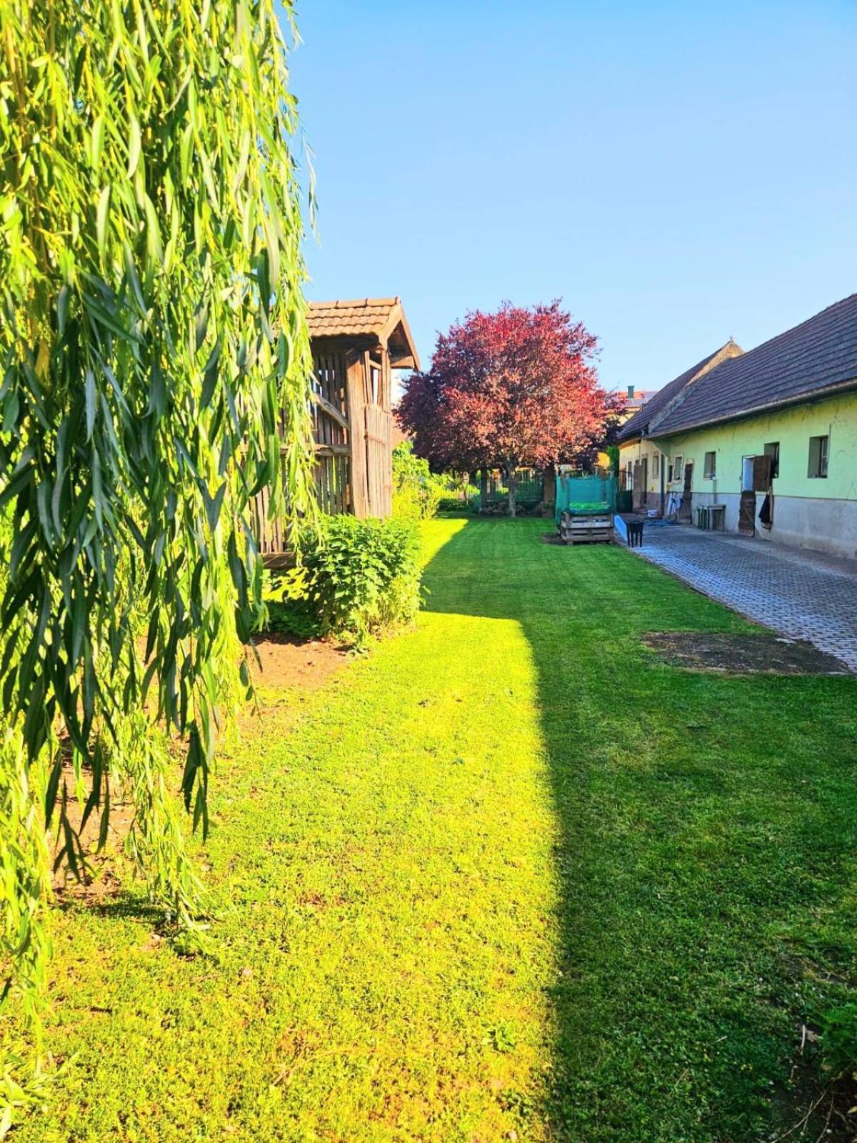 Ferienwohnung Koppi Pamhagen 外观 照片
