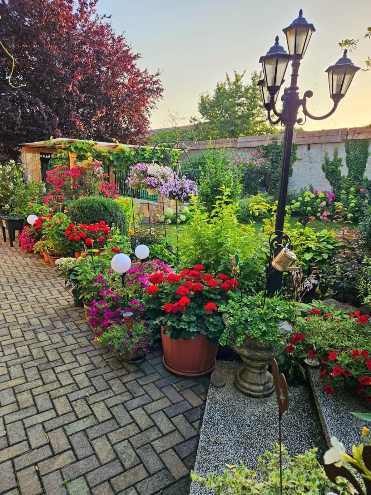Ferienwohnung Koppi Pamhagen 外观 照片