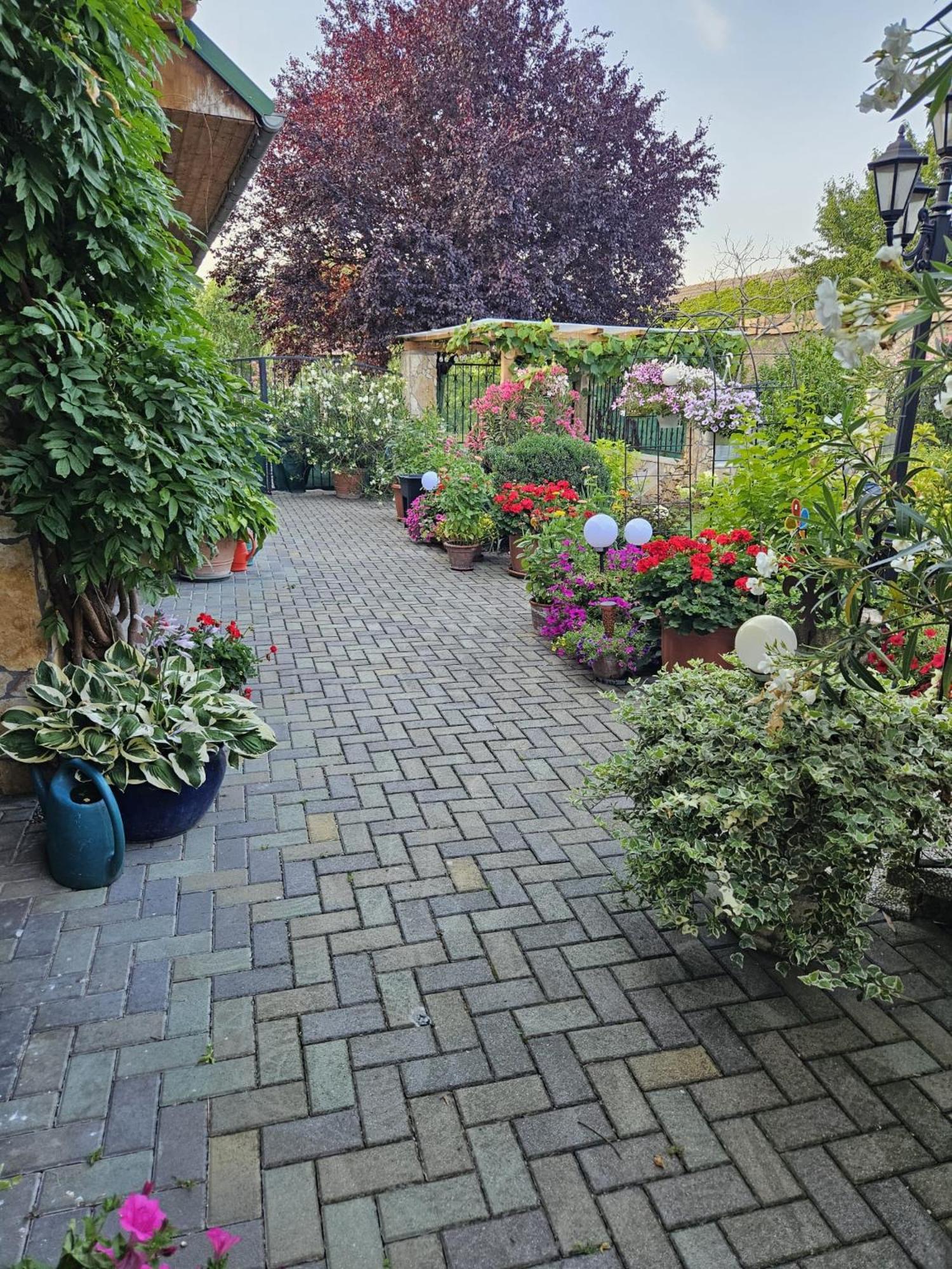 Ferienwohnung Koppi Pamhagen 外观 照片